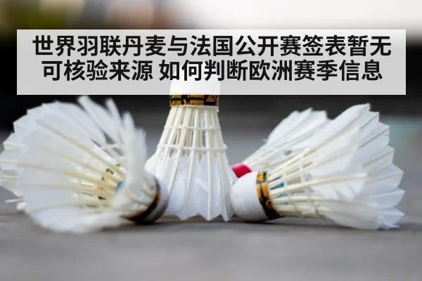 badminton shuttlecock closeup